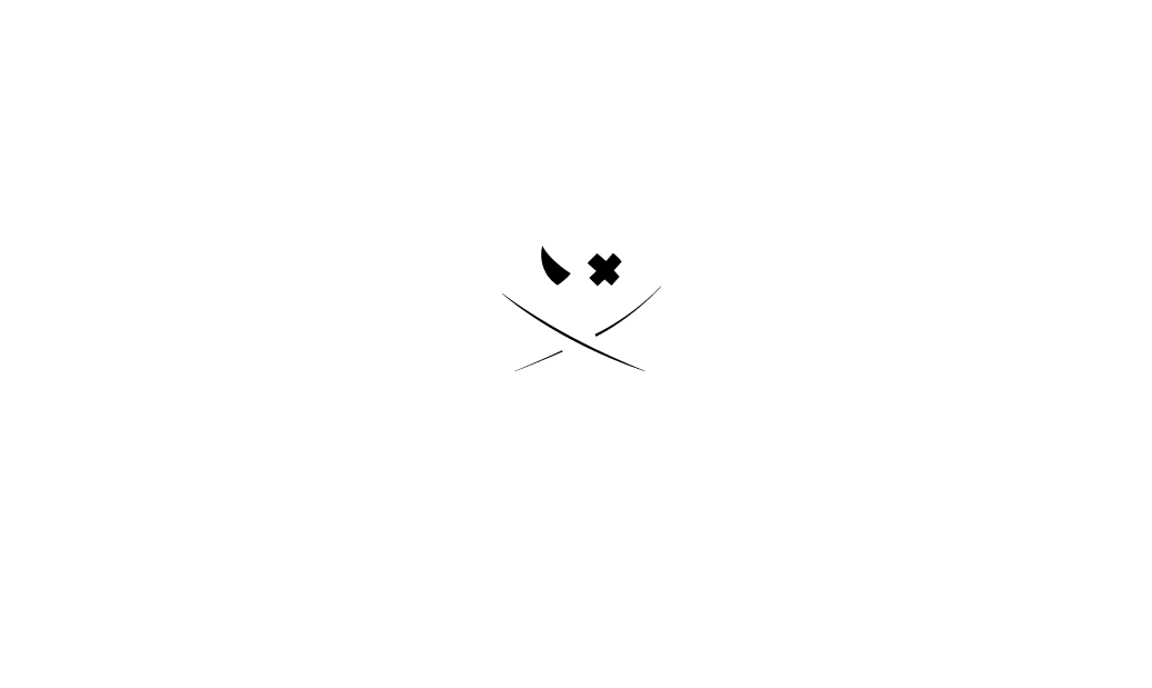 VIZUAL-PIRATEZ-WORKMARK-AND-LOGO-FINAL-1.2